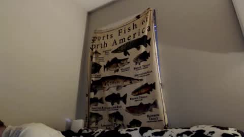 Snapshot of 18str8igcock chatting on November 1, 2025, 10:56 pm 18str8igcock online show from November 1, 2025, 10:56 pm