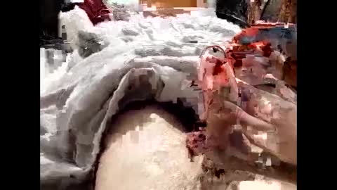 Snapshot of 19spieler99 chatting on February 8, 2025, 8:21 pm 19spieler99 online show from February 8, 2025, 8:21 pm