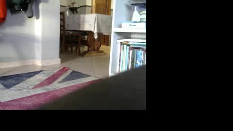 1italianpassionate online show from December 30, 2024, 3:02 pm