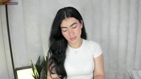  . online show from November 11, 2025, 9:37 pm