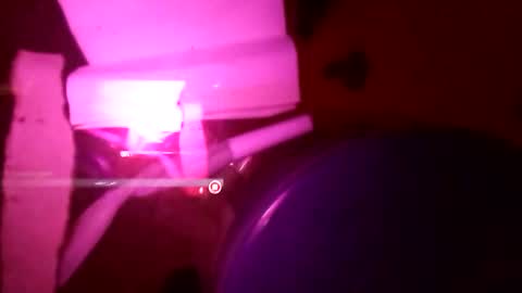 Snapshot of 1st___ chatting on November 25, 2025, 8:58 am 1st___ online show from November 25, 2025, 8:58 am