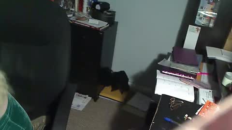 Susan online show from December 19, 2025, 1:01 am