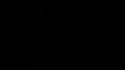 21nhornyy online show from January 8, 2025, 9:55 pm