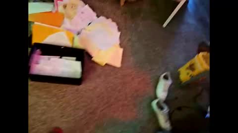 Steviesnickers online show from January 15, 2026, 1:59 pm