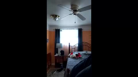 32666damon online show from December 14, 2025, 6:23 pm