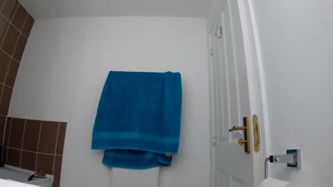 37429774756 online show from December 30, 2024, 8:58 pm