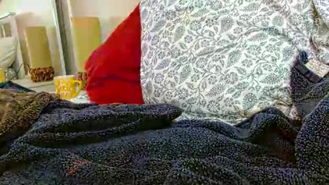 Snapshot of 56funleo chatting on January 31, 2026, 7:11 pm Daddy online show from January 31, 2026, 7:11 pm