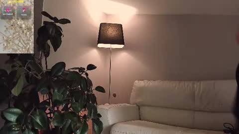 Sunshine online show from July 20, 2026, 4:38 am
