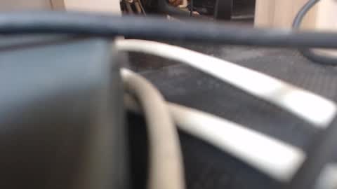 Snapshot of 64293boy chatting on January 13, 2026, 12:43 pm 64293boy online show from January 13, 2026, 12:43 pm