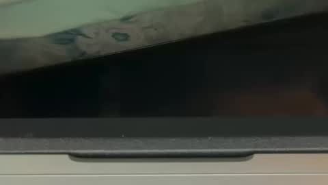 FUCKR online show from October 17, 2025, 8:06 am