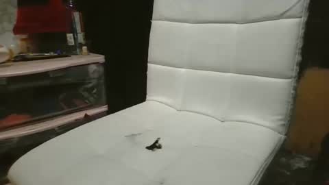 Snapshot of 69meowxxx chatting on November 3, 2025, 3:24 pm 69meowxxx online show from November 3, 2025, 3:24 pm