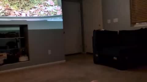 Snapshot of 69singledad79 chatting on March 10, 2025, 4:17 am 69singledad79 online show from March 10, 2025, 4:17 am