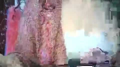 Lilu online show from February 15, 2026, 9:41 am