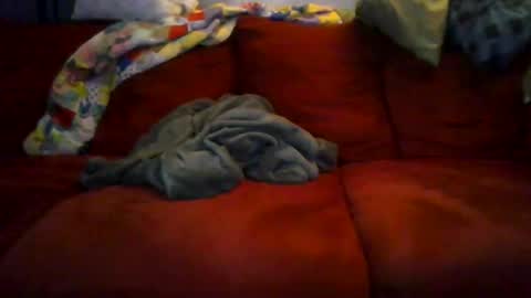 77steve7777 online show from December 18, 2025, 11:16 am