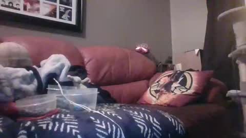 Snapshot of 7inchking269 chatting on February 28, 2026, 2:45 am 7inchking269 online show from February 28, 2026, 2:45 am