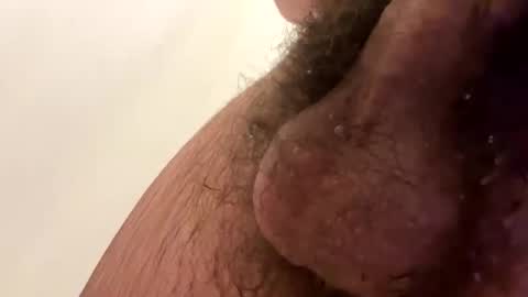 7inchwhiteeggplant online show from October 7, 2025, 7:05 am