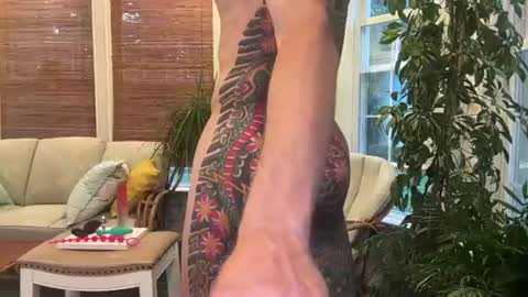 Jake online show from August 9, 2026, 11:42 pm