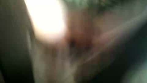 Snapshot of 8675309r2d2 chatting on November 9, 2025, 6:55 am 8675309r2d2 online show from November 9, 2025, 6:55 am