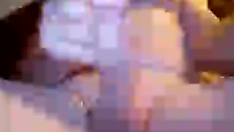 Invictus hornydad online show from July 5, 2026, 4:36 pm