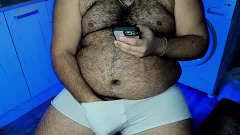 Snapshot of _alan_bear_ chatting on December 12, 2024, 12:27 am Alan online show from December 12, 2024, 12:27 am