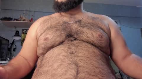 Snapshot of _alan_bear_ chatting on January 28, 2025, 2:31 pm Alan online show from January 28, 2025, 2:31 pm