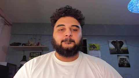 Snapshot of _alan_bear_ chatting on February 1, 2025, 3:50 pm Alan online show from February 1, 2025, 3:50 pm