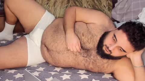 Snapshot of _alan_bear_ chatting on February 16, 2025, 1:16 pm Alan online show from February 16, 2025, 1:16 pm