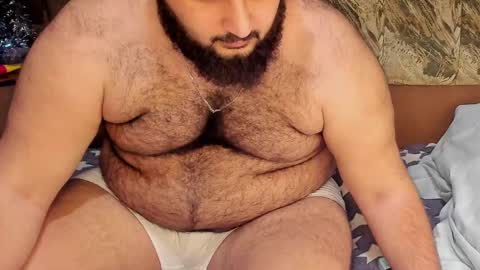 Snapshot of _alan_bear_ chatting on February 19, 2025, 3:49 pm Alan online show from February 19, 2025, 3:49 pm