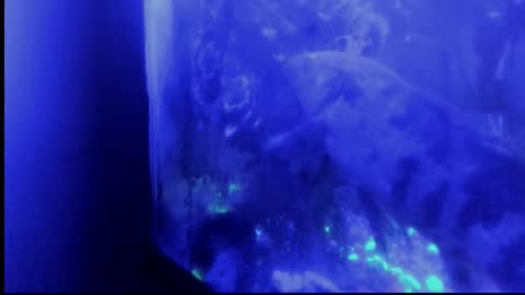 Snapshot of _always__horny chatting on October 29, 2025, 4:37 am Giulia...... online show from October 29, 2025, 4:37 am