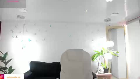 antonnela online show from February 25, 2026, 1:43 pm