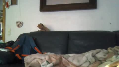 b0rn4porn online show from April 27, 2026, 5:33 pm