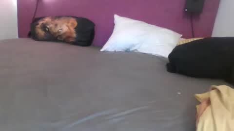 Snapshot of _bertl_ chatting on October 25, 2025, 8:36 pm _bertl_ online show from October 25, 2025, 8:36 pm