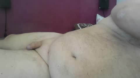 _bertl_ online show from April 22, 2026, 9:33 am