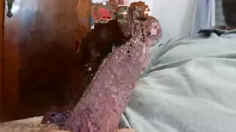 _black_horse_1 online show from December 4, 2025, 2:43 am