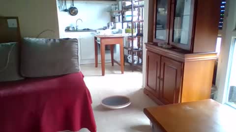 Snapshot of _bubble_buttfunxxx chatting on October 11, 2025, 9:41 am _bubble_buttfunxxx online show from October 11, 2025, 9:41 am