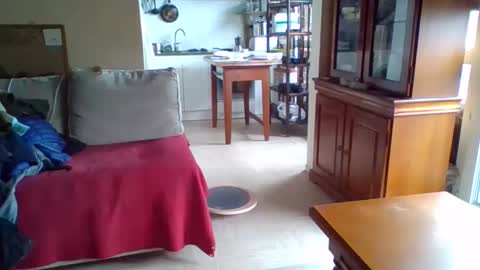 Snapshot of _bubble_buttfunxxx chatting on October 13, 2025, 10:26 am _bubble_buttfunxxx online show from October 13, 2025, 10:26 am