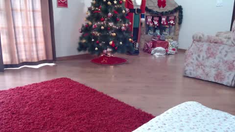 Snapshot of _candygirl20 chatting on January 15, 2025, 5:58 pm candygirl online show from January 15, 2025, 5:58 pm