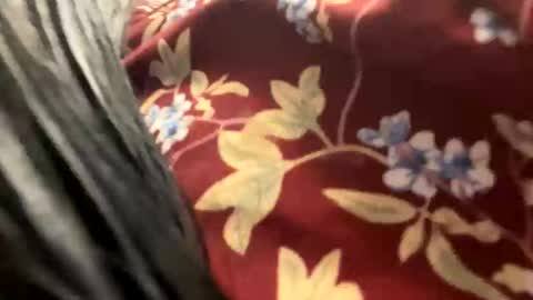 _catalina_linda_ok online show from October 26, 2025, 6:41 am