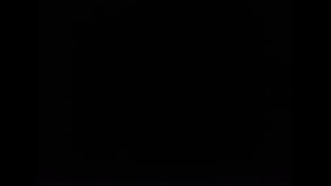 cat online show from February 5, 2025, 12:27 pm