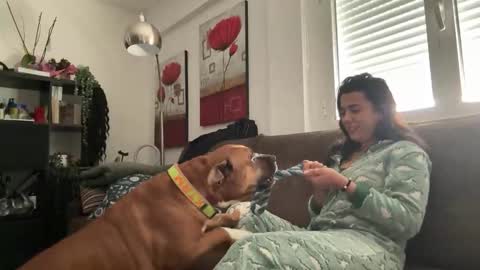  elena barra online show from November 29, 2025, 12:41 pm