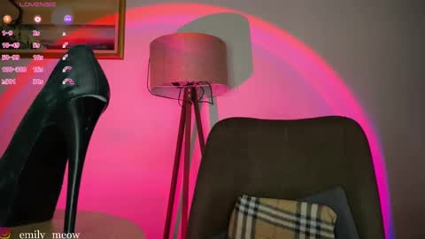 Snapshot of _emily__sweety_ chatting on March 7, 2025, 2:34 pm Emily online show from March 7, 2025, 2:34 pm