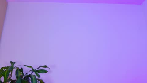 Emi online show from February 3, 2026, 2:53 am