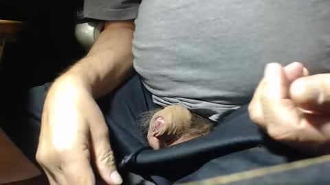 _jimmini online show from November 1, 2025, 5:04 pm