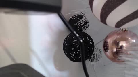 Snapshot of _kat_sweet chatting on December 2, 2025, 3:12 am Cata online show from December 2, 2025, 3:12 am