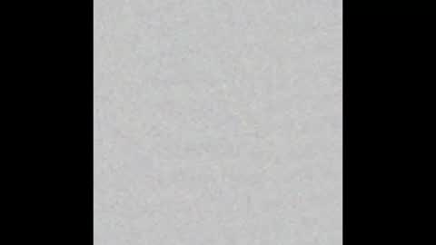 _maccaa_ online show from October 31, 2025, 11:55 am