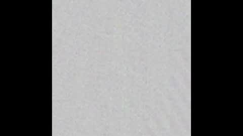 _maccaa_ online show from January 10, 2026, 11:23 am