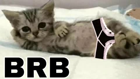 miko3 online show from March 31, 2026, 9:48 pm