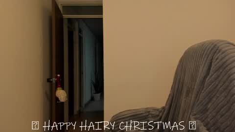 _miss_coco_ online show from December 25, 2024, 12:48 am