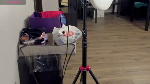 _molly04 online show from June 11, 2026, 8:34 am