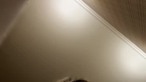 Snapshot of _morpho_ chatting on December 21, 2025, 8:49 pm Francine Aisi Morpho - a genus of blue butterflies. online show from December 21, 2025, 8:49 pm